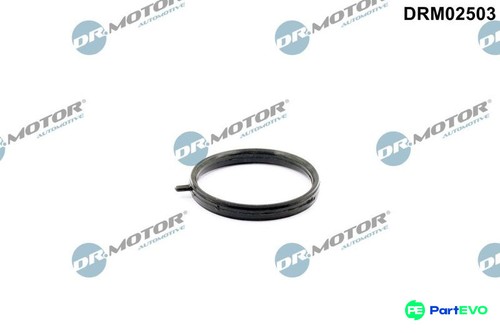 Motor automotive coolant - dr.motor,