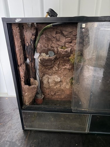 Custom glass reptile vivarium - custom,