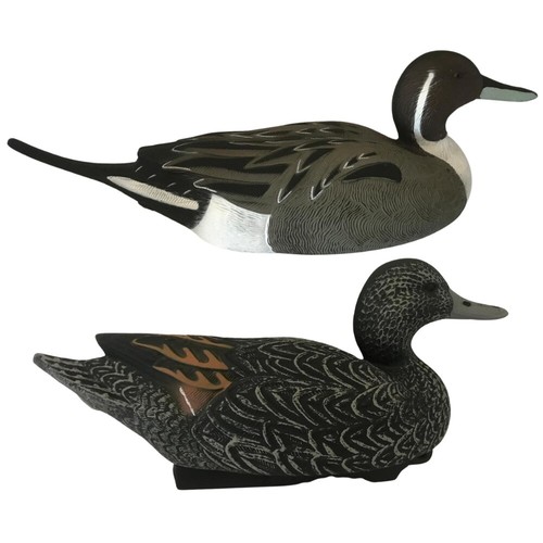 Pintail duck decoys - pintail,