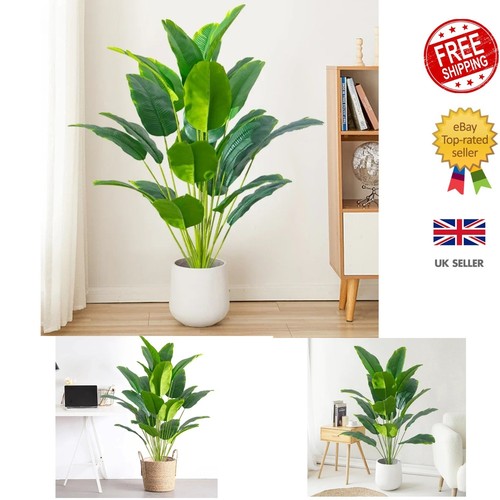 Tropical palm tree - tropical,