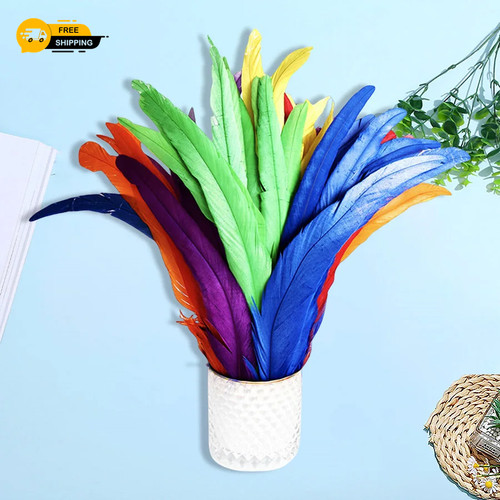 Long rooster tail feathers - long,