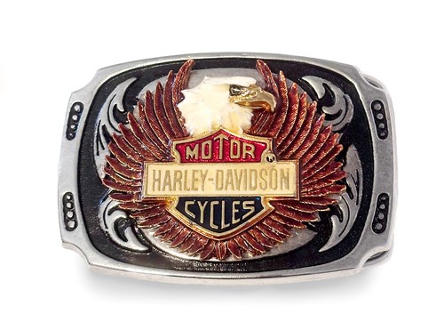 Harley davidson belt - harley-davidson, buckle