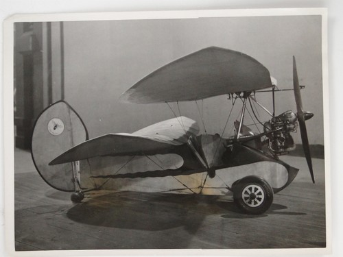 Pou ciel flying flea mignet - du,