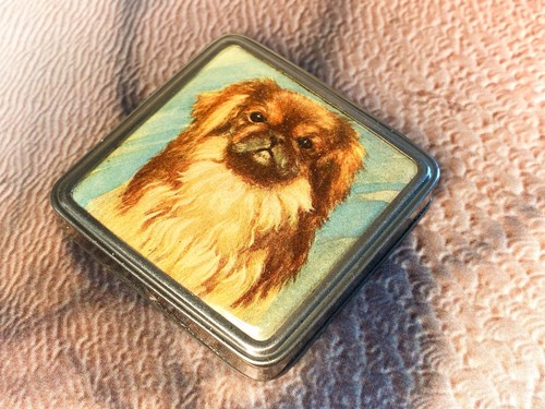 Stratnoid 1920s with - , pekingese