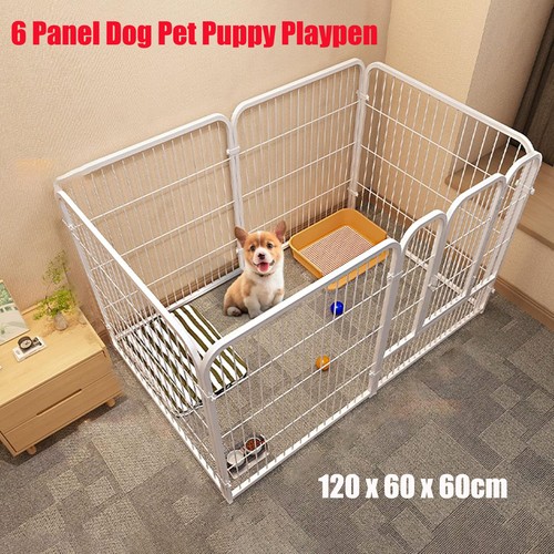 Panel dog pen - dog, puppy