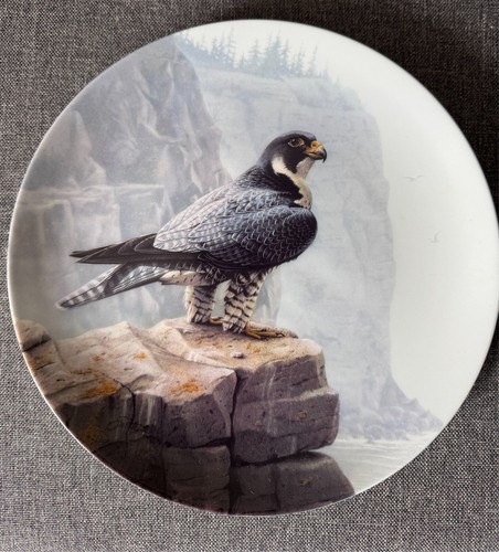 The peregrine falcon bird - "the,