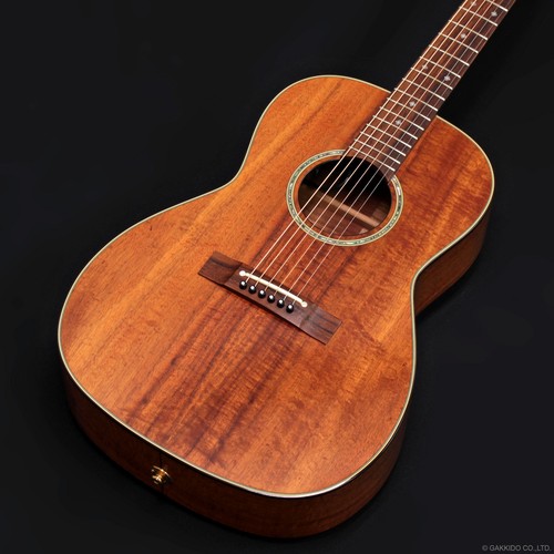 Takamine ptu431k - takamine, n