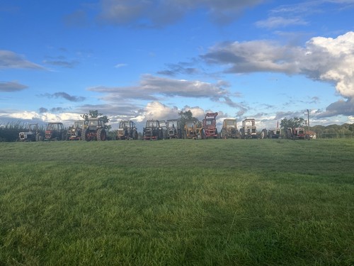 Various david brown tractors - various,
