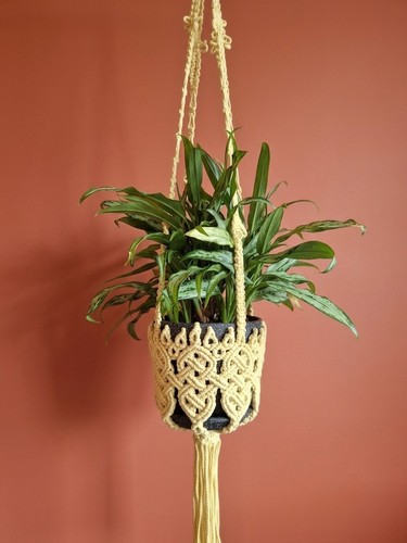 Medium macrame plant - medium, hanger