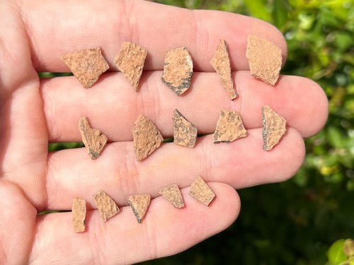 Theropod dinosaur eggshell - theropod,