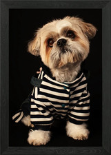 CAIRN TERRIER Framed Wall Art