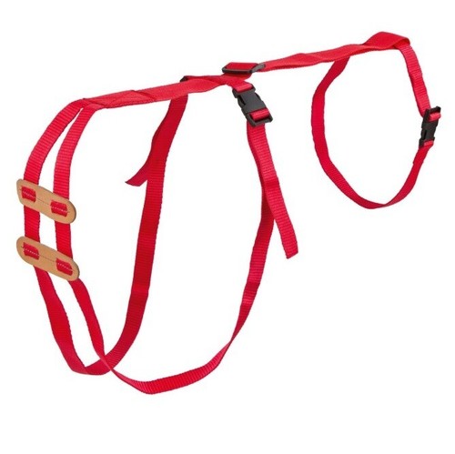Ewe truss prolapse harness - truss,