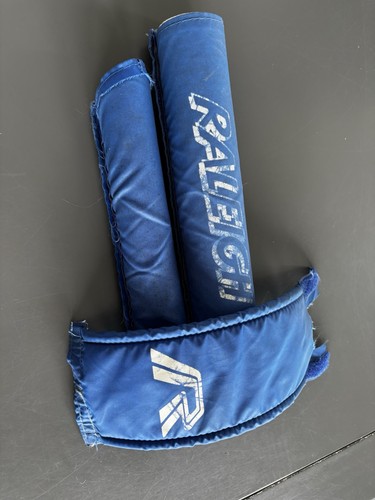 Raleigh burner blue and - burner,