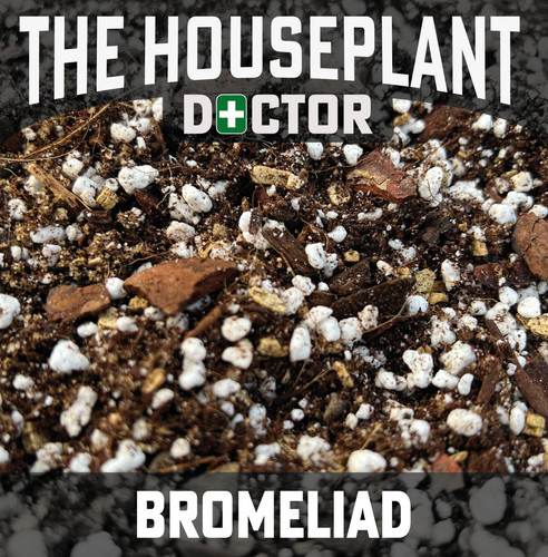 Bromeliad potting compost soil - bromeliad,