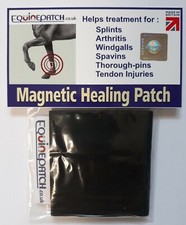 x2 Magnetic Therapy Patch From