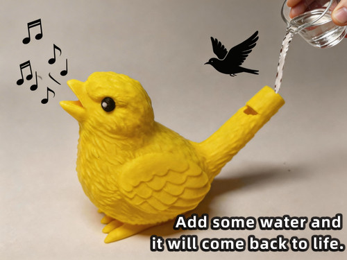 Singing bird water toy - singing, 3d