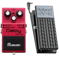 Boss DM-2w Delay Waza + EV-5