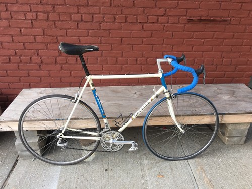 Gazelle champion mondial - gazelle,