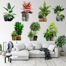 Self-adhesive Potted Tropical