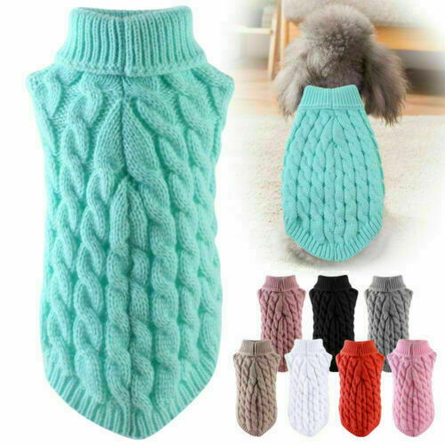 Hot puppy dog - hot, jumper