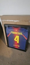 Box Frame Hung - Cesc Fabregas