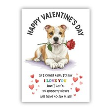 American Bulldog Dog