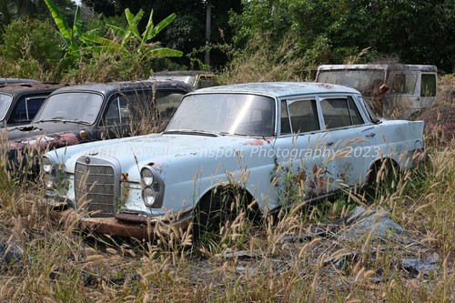 Car photo 12x8 mercedes - photo,
