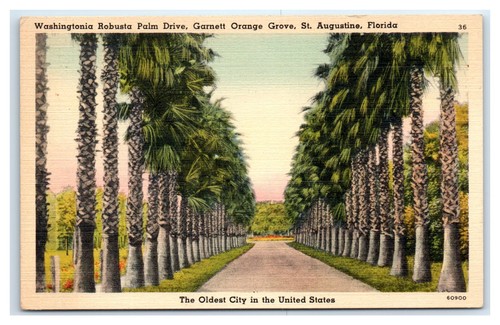 Augustine postcard - fl, postcard-