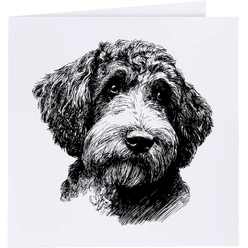 Labradoodle portrait - 'labradoodle, portrait'