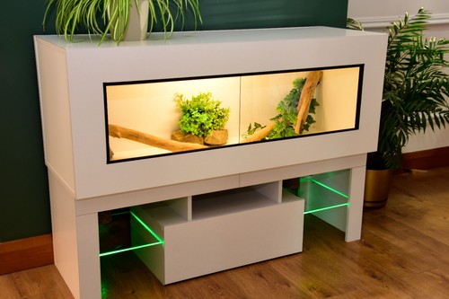 4ft modern white - modern, reptile