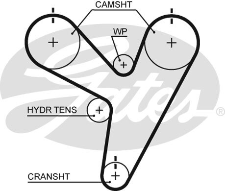 New timing belt for - timing,