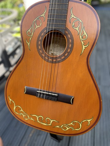 Encore custom parlour acoustic - encore,