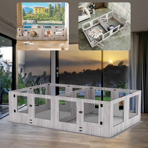 Xxxl large tempered glass - large, pet