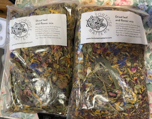 Tortoise premium dried flower - dried,