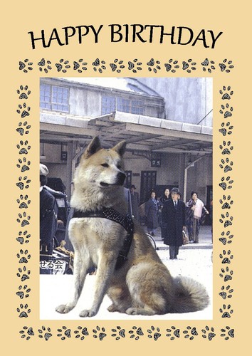 Japanese akita dog birthday - japanese,