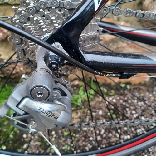Vitus venon cabon fibre road - vitus,