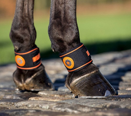 Lemieux magno pastern wrap - lemieux,
