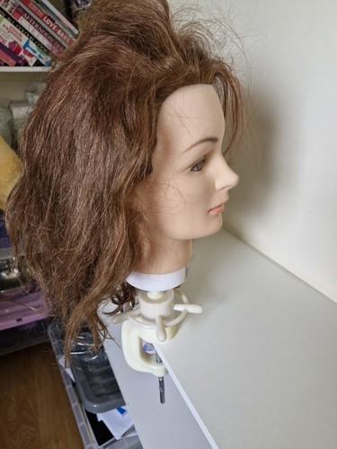 Professional mannequin head - professional,