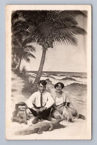 Cute couple jack russell - couple, w
