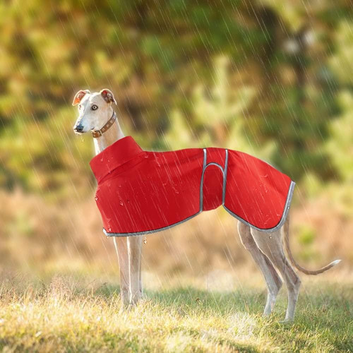 Lightweight whippet coats - coats,
