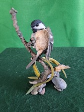 Country Artists Bird  04981