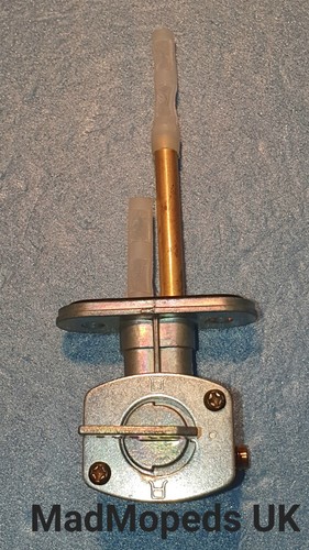 Ajs eco regal raptor - 2,