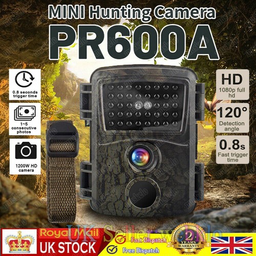 24mp hunting trail night - trail,