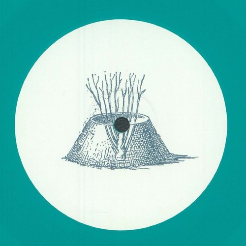 Shcuro echo chamber vinyl - echo,