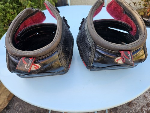 Pair cavallo trec - cavallo, horse