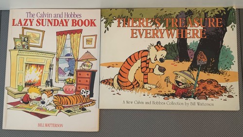 Calvin and hobbes comic - calvin,