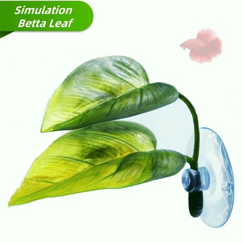 Betta fish aquarium - fish, leaf