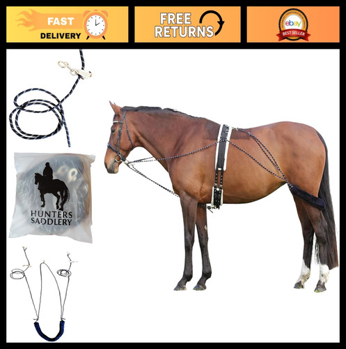 Lunging aid for horses - lunging,