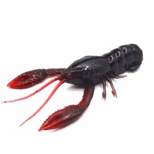 Nikko Craw 3.2"