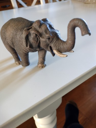 Collecta toy animal - animal, sets